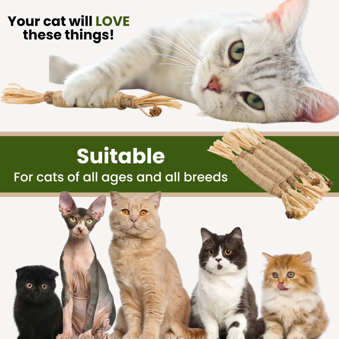 Purriq™ Natural Silvervine Dental Sticks