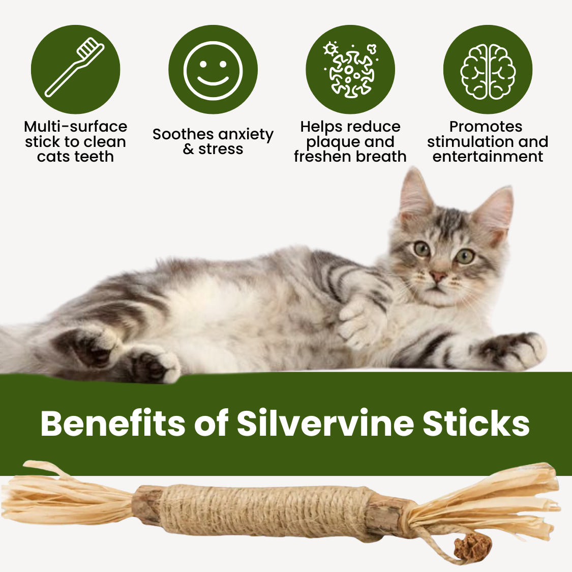 Purriq™ Natural Silvervine Dental Sticks