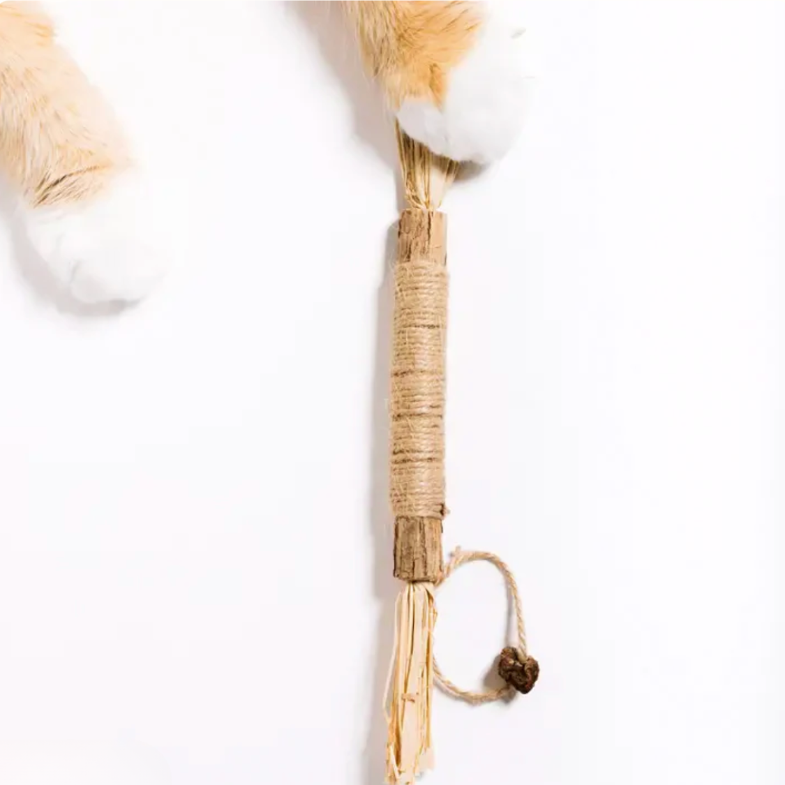 Purriq™ Natural Silvervine Dental Sticks
