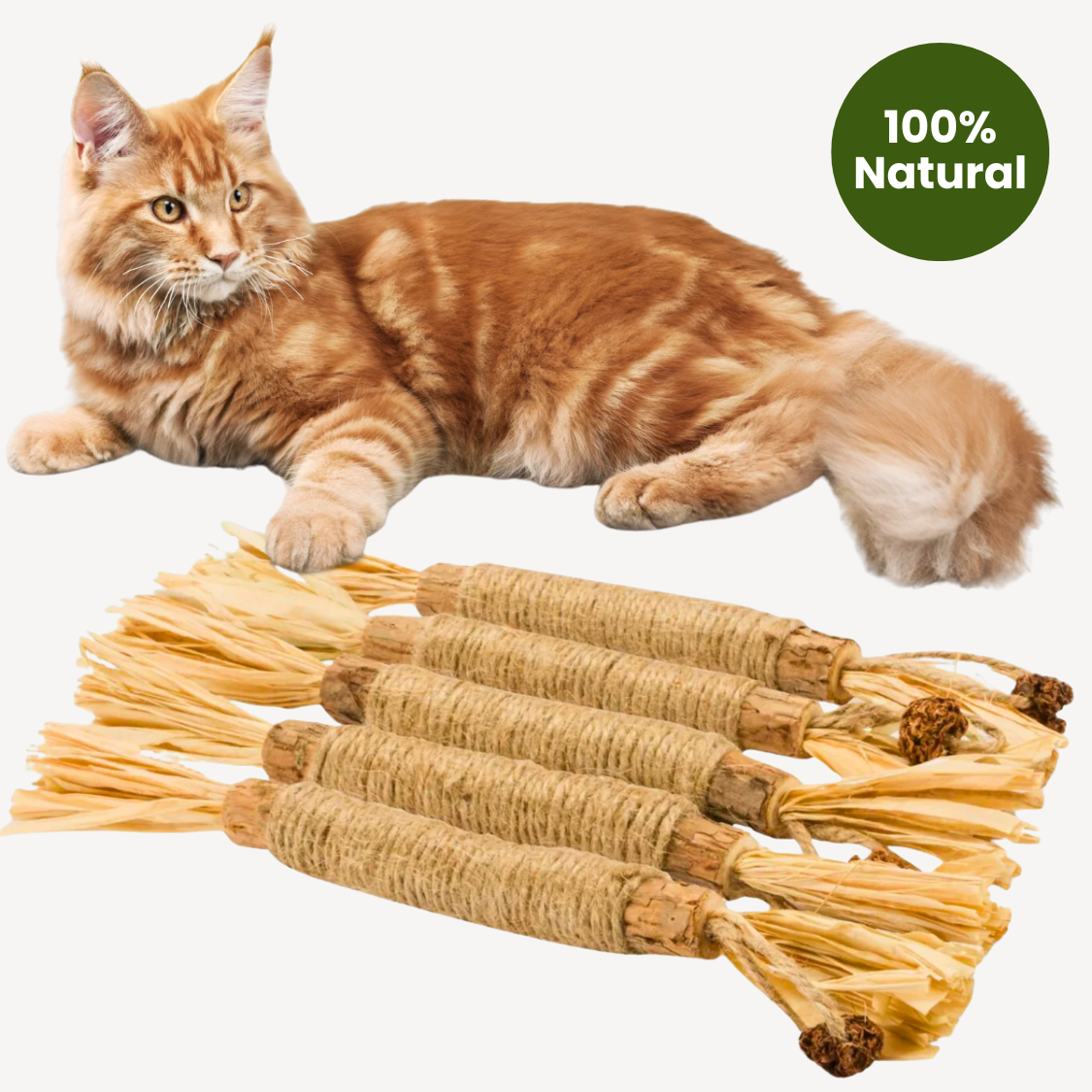 Purriq™ Natural Silvervine Dental Sticks
