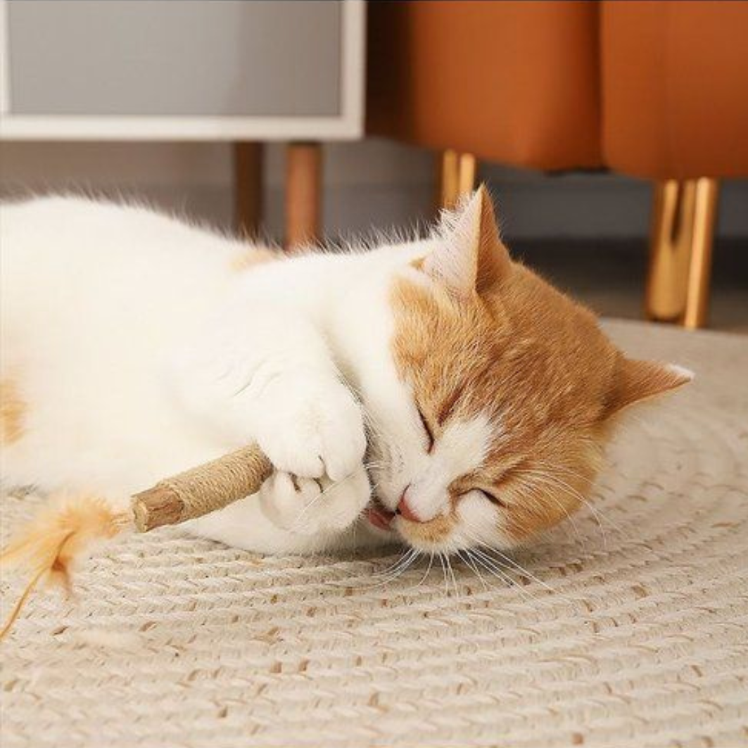Purriq Natural Silvervine Dental Sticks