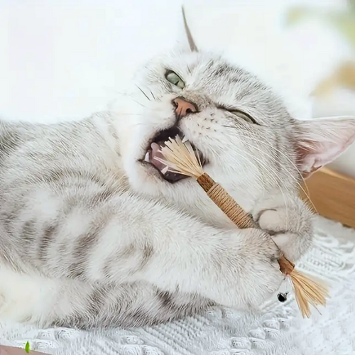 Purriq Natural Silvervine Dental Sticks