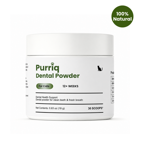 Purriq Natural Dental Powder