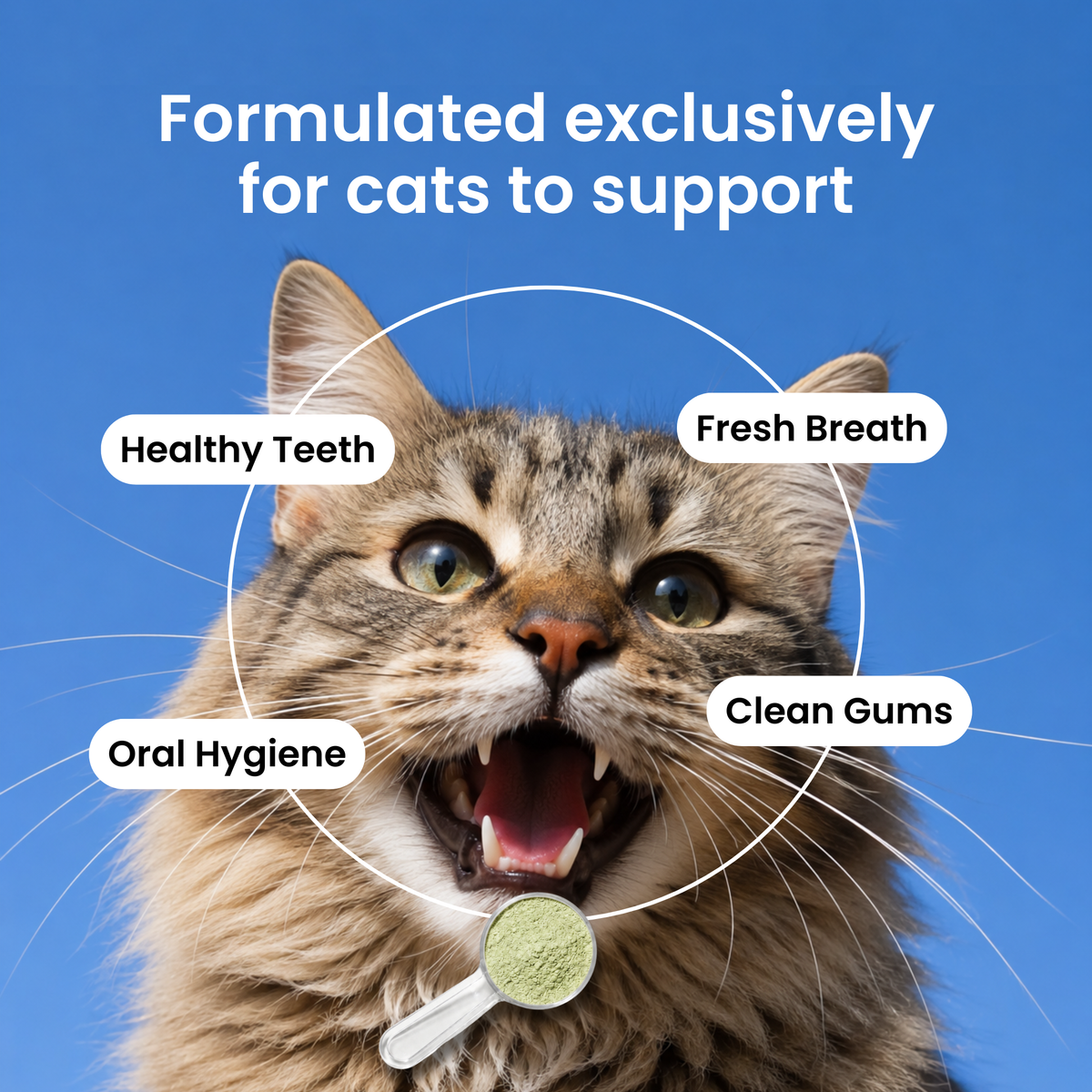 Purriq Natural Dental Powder