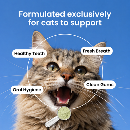 Purriq Natural Dental Powder