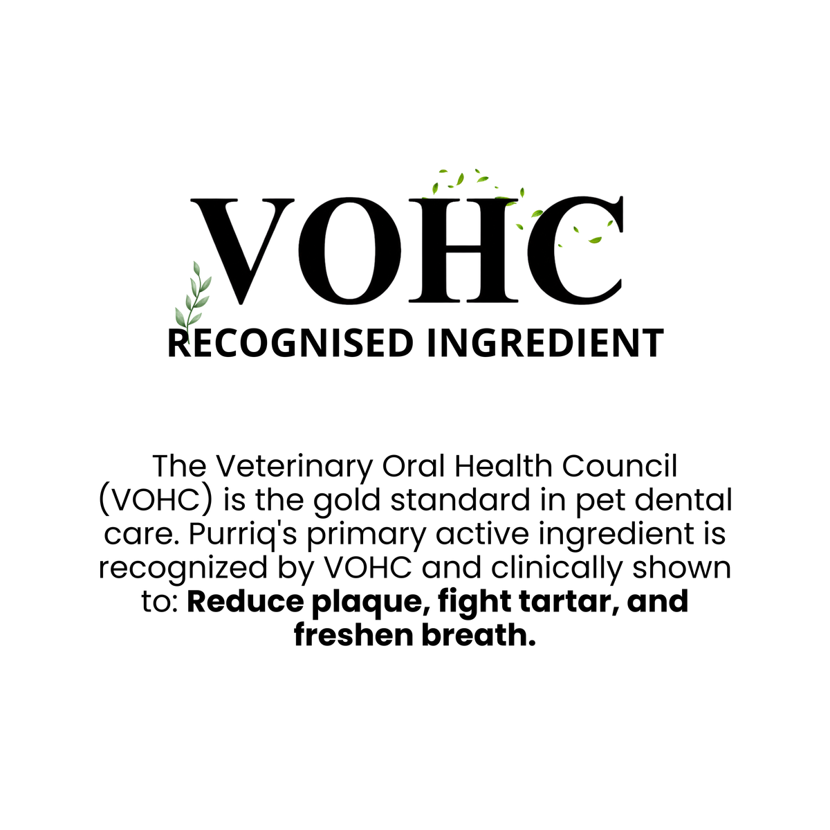 Purriq Natural Dental Powder