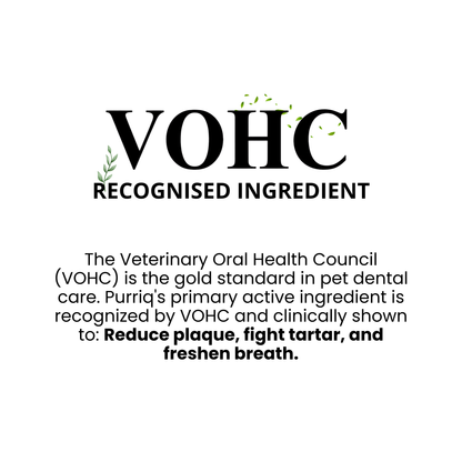 Purriq Natural Dental Powder