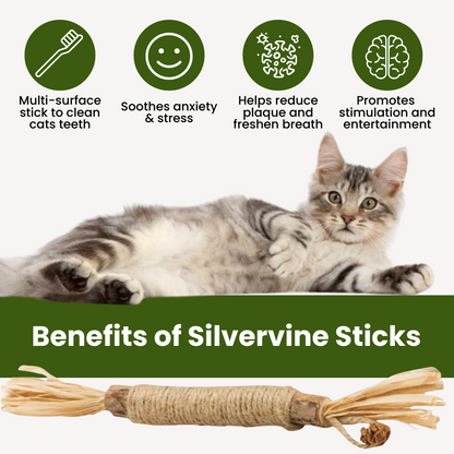 Purriq™ Natural Silvervine Dental Sticks