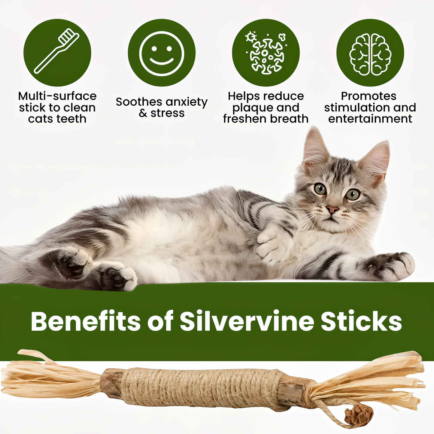 Purriq Natural Silvervine Dental Sticks