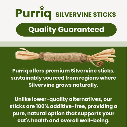 Purriq™ Natural Silvervine Dental Sticks