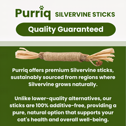 Purriq Natural Silvervine Dental Sticks