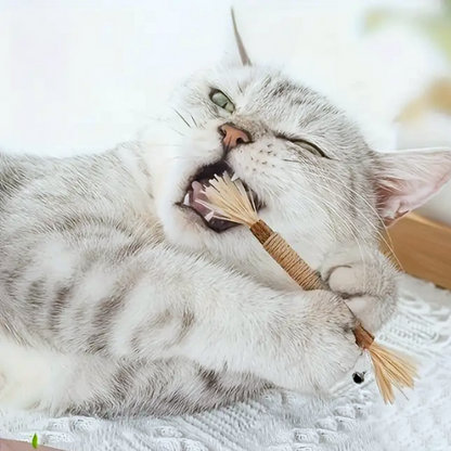 Purriq Natural Silvervine Dental Sticks