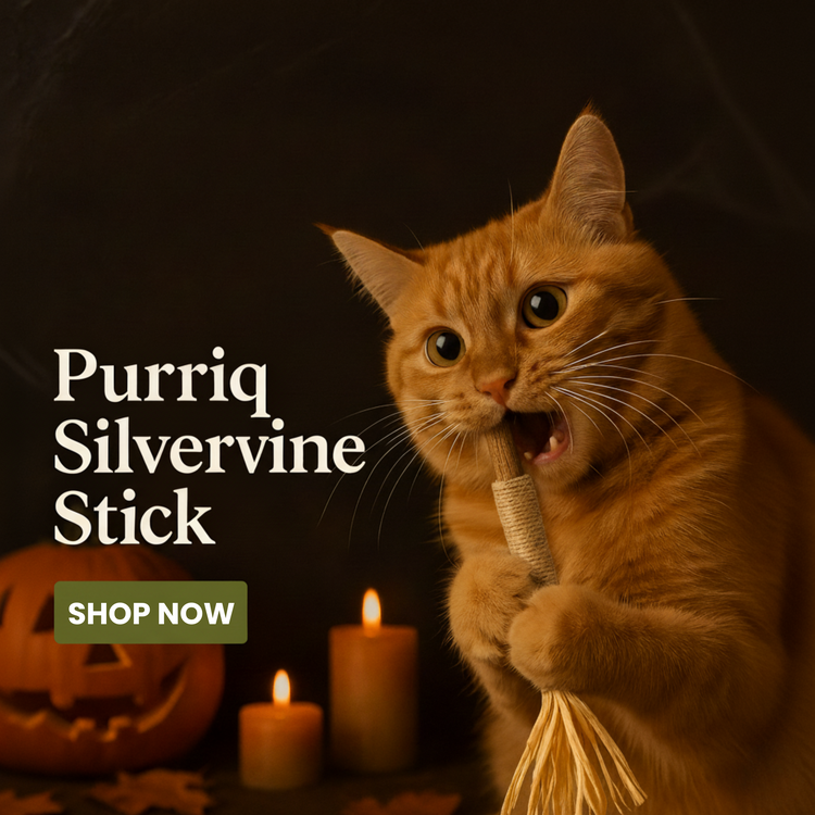 Purriq
