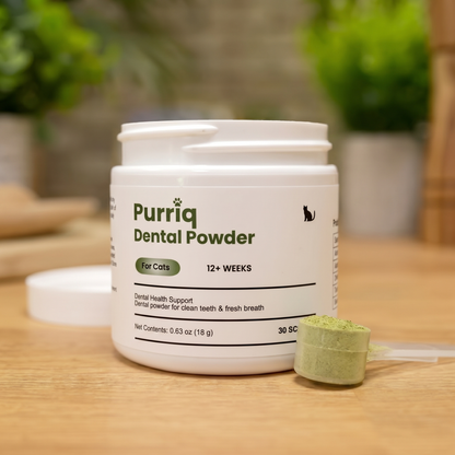 Purriq Natural Dental Powder
