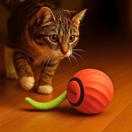 Purriq Interactive Cat Ball – Endless Fun & Stress Relief